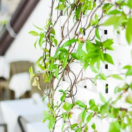 Hotel Residenza Luce 3*