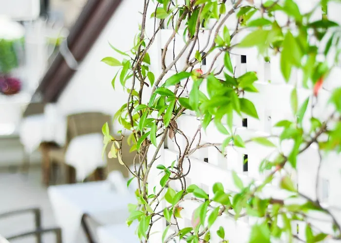 Szálloda Residenza Luce 3*