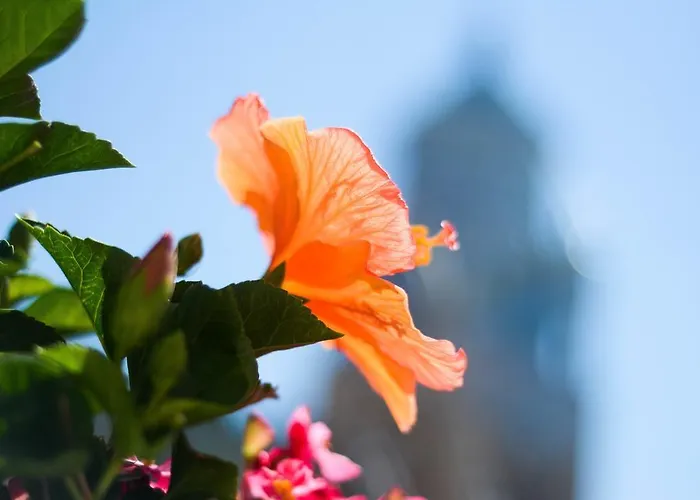 Hotel Residenza Luce Amalfi